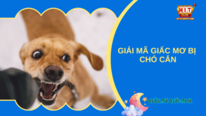 Giải mã giấc mơ bị chó cắn và con số may mắn