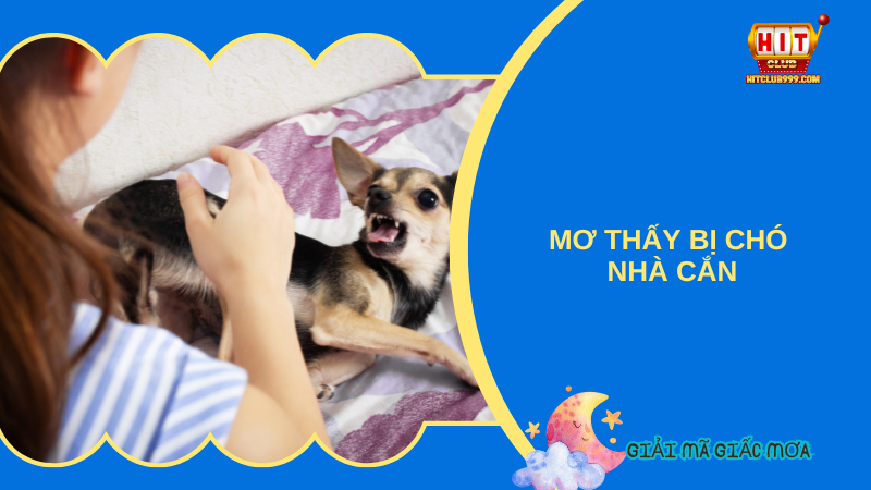 Mơ thấy cho nhà cắn báo hiệu mâu thuẫn trong gia đình