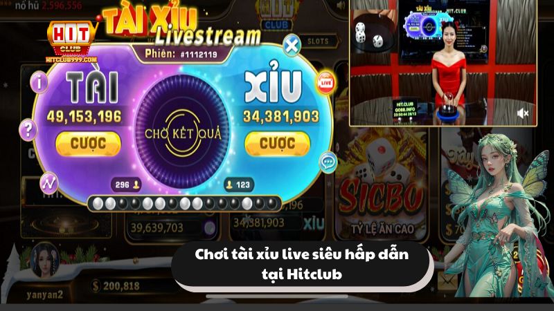 Tham gia tài xỉu live với những tỷ lệ cược hấp dẫn